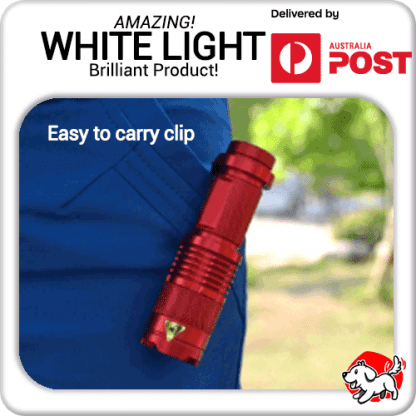 White LED Flashlight – Runs on a single AA battery